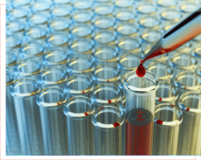 A person is pouring liquid into a glass.